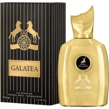 Alhambra Galatea, 100 ml, apa de parfum, de barbat, inspirat din Marly Goldophin