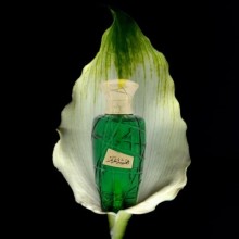 Maison Asrar, Hamsat Gharam, apa de parfum, 100 ml, unisex
